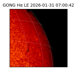 gong - 2026-01-31T07:00:42