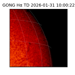 gong - 2026-01-31T10:00:22