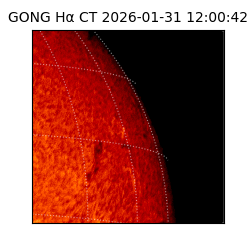 gong - 2026-01-31T12:00:42