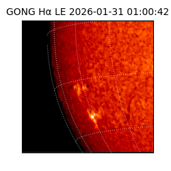 gong - 2026-01-31T01:00:42