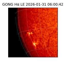 gong - 2026-01-31T06:00:42