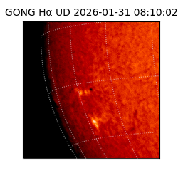 gong - 2026-01-31T08:10:02