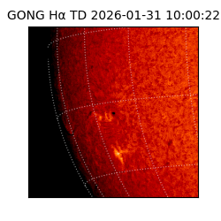 gong - 2026-01-31T10:00:22