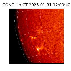 gong - 2026-01-31T12:00:42