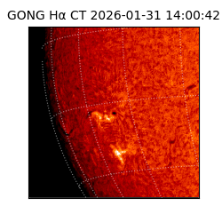 gong - 2026-01-31T14:00:42