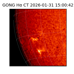 gong - 2026-01-31T15:00:42
