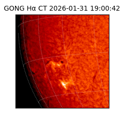gong - 2026-01-31T19:00:42