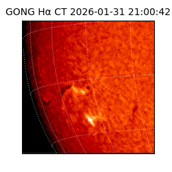 gong - 2026-01-31T21:00:42