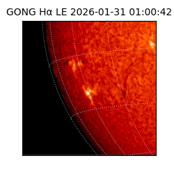 gong - 2026-01-31T01:00:42