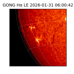 gong - 2026-01-31T06:00:42