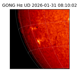 gong - 2026-01-31T08:10:02