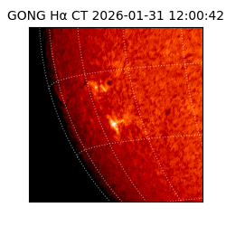 gong - 2026-01-31T12:00:42