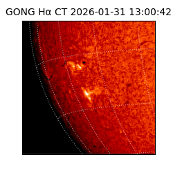 gong - 2026-01-31T13:00:42