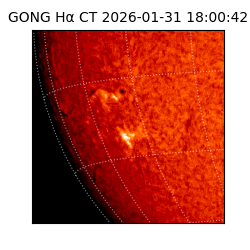 gong - 2026-01-31T18:00:42