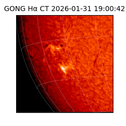 gong - 2026-01-31T19:00:42