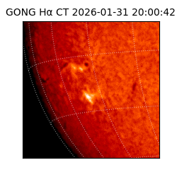 gong - 2026-01-31T20:00:42
