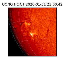 gong - 2026-01-31T21:00:42