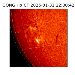 gong - 2026-01-31T22:00:42