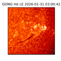 gong - 2026-01-31T03:00:42