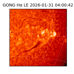 gong - 2026-01-31T04:00:42