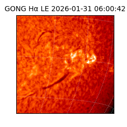 gong - 2026-01-31T06:00:42