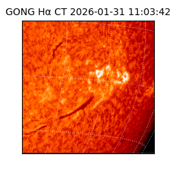 gong - 2026-01-31T11:03:42