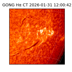 gong - 2026-01-31T12:00:42