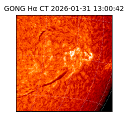 gong - 2026-01-31T13:00:42