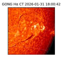 gong - 2026-01-31T18:00:42