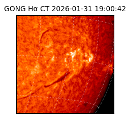 gong - 2026-01-31T19:00:42