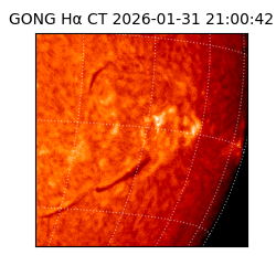 gong - 2026-01-31T21:00:42