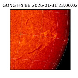 gong - 2026-01-31T23:00:02