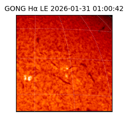 gong - 2026-01-31T01:00:42