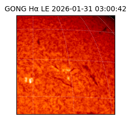 gong - 2026-01-31T03:00:42