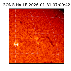 gong - 2026-01-31T07:00:42