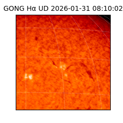 gong - 2026-01-31T08:10:02