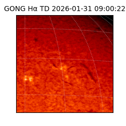 gong - 2026-01-31T09:00:22