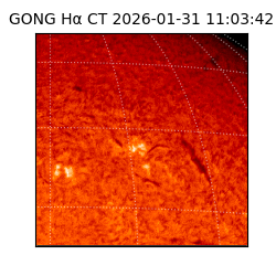 gong - 2026-01-31T11:03:42