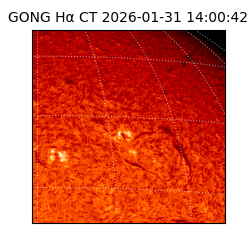 gong - 2026-01-31T14:00:42