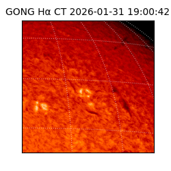 gong - 2026-01-31T19:00:42