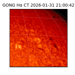 gong - 2026-01-31T21:00:42
