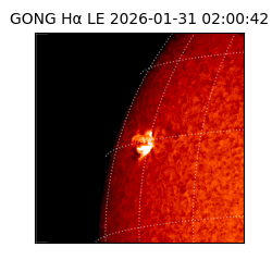 gong - 2026-01-31T02:00:42