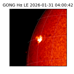 gong - 2026-01-31T04:00:42