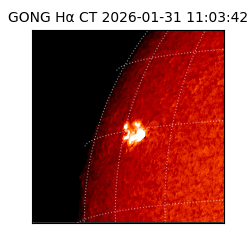gong - 2026-01-31T11:03:42