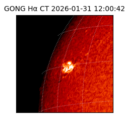 gong - 2026-01-31T12:00:42