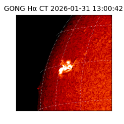 gong - 2026-01-31T13:00:42