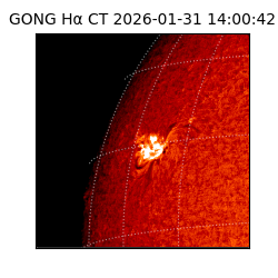 gong - 2026-01-31T14:00:42