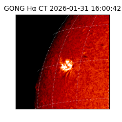 gong - 2026-01-31T16:00:42