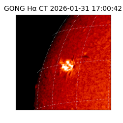 gong - 2026-01-31T17:00:42