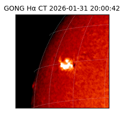 gong - 2026-01-31T20:00:42